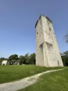 Gaston Phébus, magicien ? Une conférence lève le voile à Orthez
