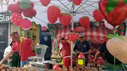 Grand bazar à la fraise : animations gratuites à Carnon le 9 mai