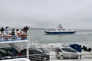 Grève des bacs : perturbations entre Le Verdon et Royan le 8 mai