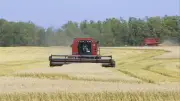 Guerre en Iran : l'agriculture américaine étranglée par la flambée des coûts