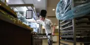 Handicap : progrès en emploi mais écarts inacceptables persistent