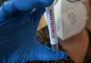 Hantavirus Andes : une menace pandémique amplifiée par le désarmement sanitaire américain