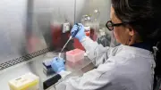 Hantavirus : aucun symptôme parmi les 26 cas contacts français