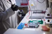Hantavirus : comment repérer les théories du complot ?