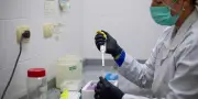 Hantavirus : dernières infos sur l'épidémie en direct