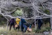 Hantavirus, Ebola, Covid-19 : changer notre rapport au vivant