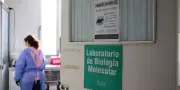 Hantavirus en Argentine : le réchauffement climatique suspecté d'avoir contribué à la hausse des cas