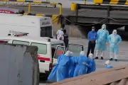 Hantavirus : la gestion de la crise nécessite une coordination internationale