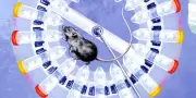 Hantavirus : la recherche mobilisée face à la souche des Andes