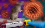 Hantavirus: le passager américain finalement négatif après de nouveaux tests