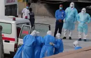 Hantavirus : le scénario d'une pandémie mondiale s'éloigne, selon les autorités