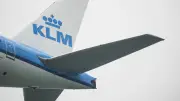 Hantavirus : l'hôtesse de l'air KLM testée négative, le virus fait trois morts