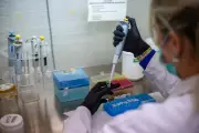 Hantavirus : l'état de la science et les incertitudes des experts