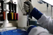 Hantavirus : nouveau cas confirmé chez un membre d'équipage du MV Hondius