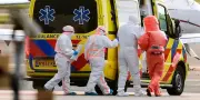 Hantavirus sur un navire de croisière : cinq cas confirmés, selon l'OMS