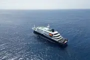 Hantavirus sur un navire de croisière : deux cas confirmés, trois morts