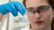 Hantavirus : un vaccin proche abandonné faute de financement