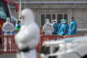 Hantavirus : une Française positive, 22 cas contacts, réunion à Matignon