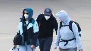 Hantavirus vs Covid-19 : quelles différences ?