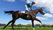 Hippisme : Losange Bleu écrase ses rivaux dans la Grande Course de Haies d'Auteuil