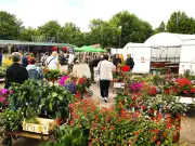 Horticole Picq : portes ouvertes du 8 au 10 mai à Saint-Savin