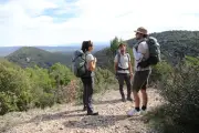 Immersion avec les écogardes de la Sainte-Baume : protéger le patrimoine naturel