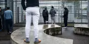 Immigration : une politique d'expulsion inhumaine et inefficace