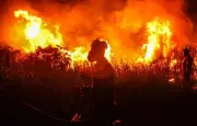 Incendies : année 2025 particulièrement grave, alerte des chercheurs