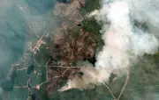 Incendies records dans le monde en 2025, amplifiés par le climat et El Niño