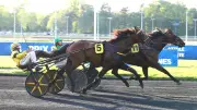 Iris des Roseaux remporte le quinté à Vincennes dans le Prix Sirrah