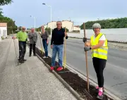 Jachères fleuries au Château-d'Oléron pour la biodiversité