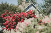 Jardin facile : 6 astuces pour moins travailler et mieux profiter