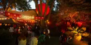« Jardin Rouge » : un cabaret sauvage de Mexico à Paris et Amsterdam
