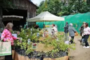 Jardiner face au réchauffement climatique : conseils de pros