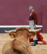 Journée de la jeunesse taurine à Dax le 16 mai 2026