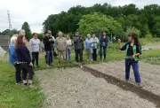 Journée maraîchage aux Jardins familiaux d'Artix : ateliers et nouveau bureau