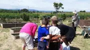 Journée portes ouvertes au Jardin Solidaire de Montagnac le 20 mai