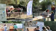 Journée portes ouvertes à Grabels : artisanat, recyclage et solidarité