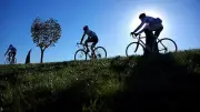 Journée 