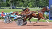 Katchi Quick remporte son troisième quinté consécutif à Enghien