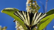 La Favède : 24h d'inventaire naturaliste participatif