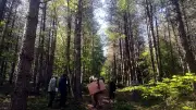 La forêt du Bougès à Cans-et-Cévennes remporte le SylvoTrophée 2026
