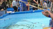 La Gaule cévenole prépare sa fête de la pêche pour les jeunes