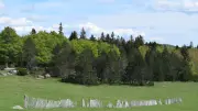 L'Auberge du mas de la barque rouvre avec une équipe surmotivée dans le Gard