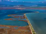 Le grand delta du monde : où toutes les cultures convergent