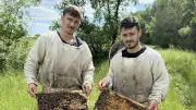 Le monde des abeilles s’installe à la médiathèque tout le mois de juin