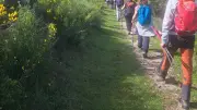 Les Amis randonneurs en balade en Ardèche : paysages et convivialité