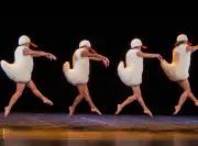 Les Chicos Mambo présentent leur spectacle iconique « Tutu » à l'Ermitage-Compostelle