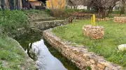 Les écoliers de De Marcieu explorent l’Histoire à la source de l’Agarne