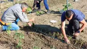 Les jardins municipaux de Lussan renaissent au soleil